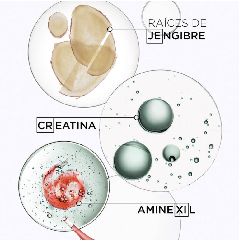 Champú bain de masse epaisissant
